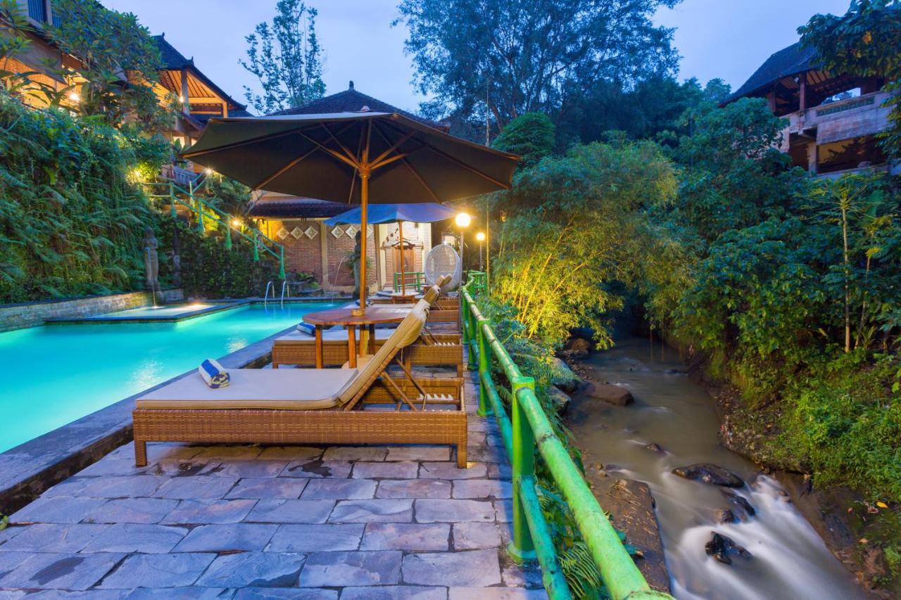 Ani'S Villas Ubud  Exterior photo